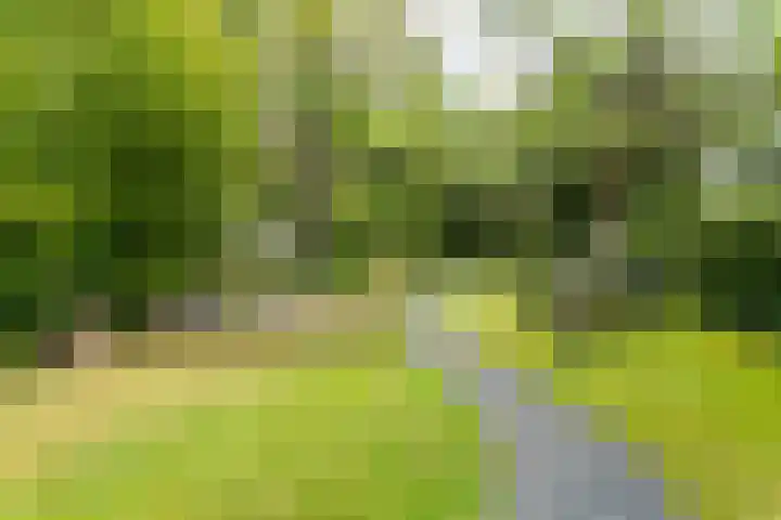 Julianastraat 45 Brunssum thumbnail 47