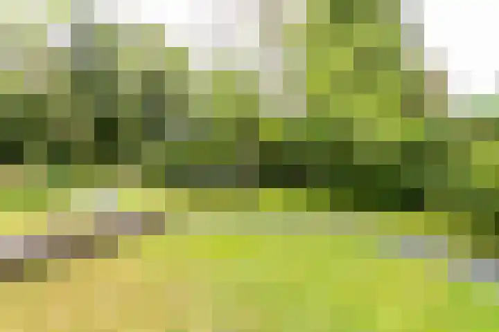 Julianastraat 45 Brunssum thumbnail 48