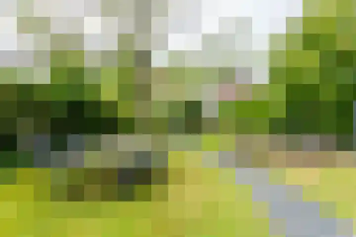 Julianastraat 45 Brunssum thumbnail 49