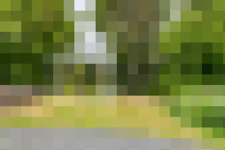 Julianastraat 45 Brunssum thumbnail 50