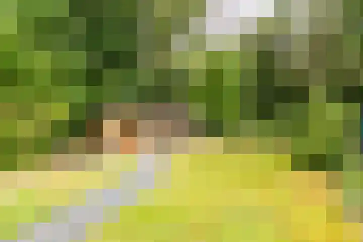 Julianastraat 45 Brunssum thumbnail 51
