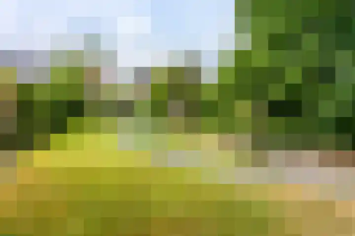 Julianastraat 45 Brunssum thumbnail 52