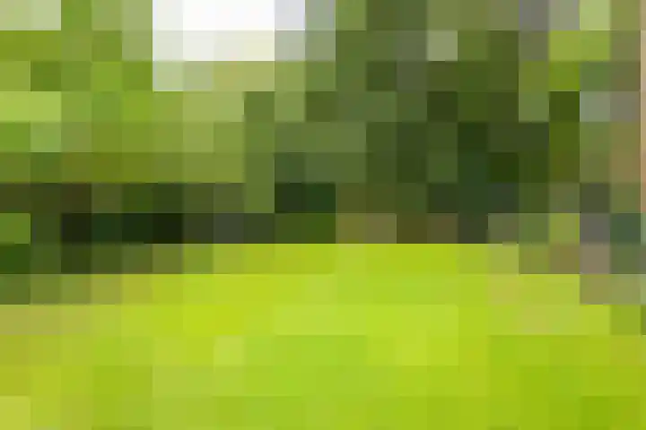 Julianastraat 45 Brunssum thumbnail 53