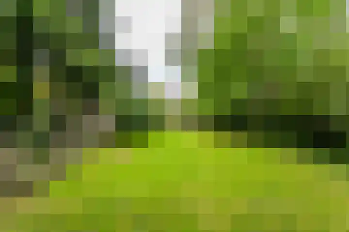 Julianastraat 45 Brunssum thumbnail 54