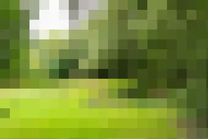 Julianastraat 45 Brunssum thumbnail 55