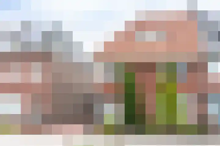 Julianastraat 45 Brunssum thumbnail 61