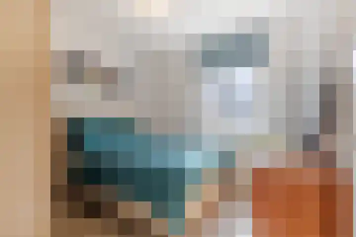 Julianastraat 46 a Sliedrecht thumbnail 12