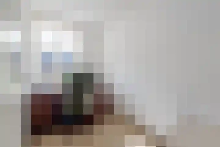 Julianastraat 46 a Sliedrecht thumbnail 14
