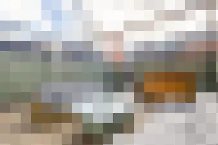 Julianastraat 46 a Sliedrecht thumbnail 16