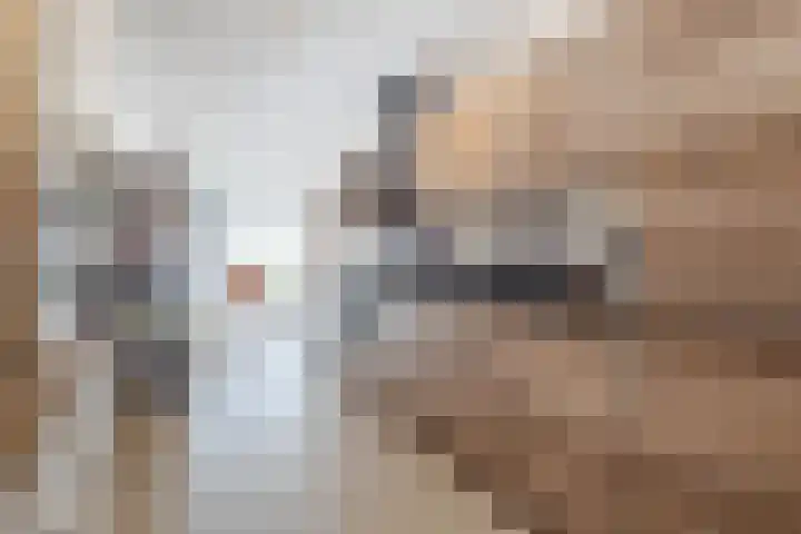 Julianastraat 46 a Sliedrecht thumbnail 6