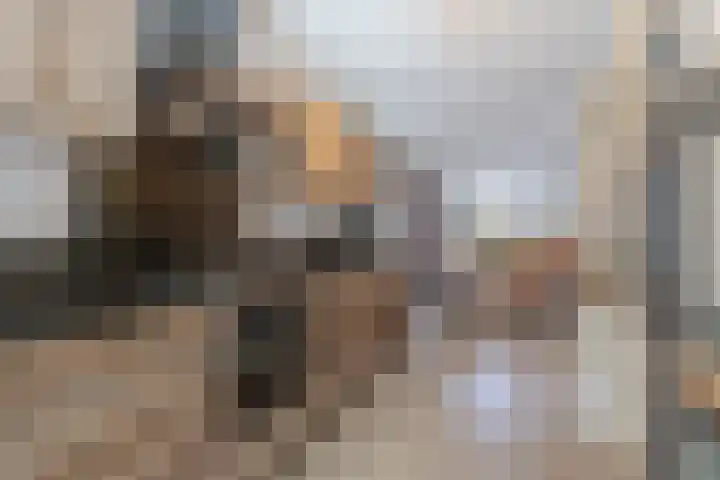 Julianastraat 46 a Sliedrecht thumbnail 7
