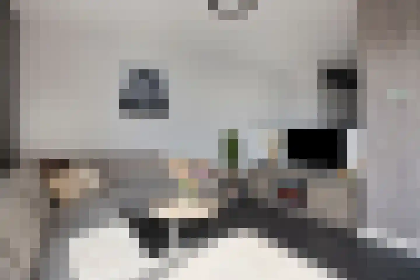 Julianastraat 46 b Sliedrecht thumbnail 5