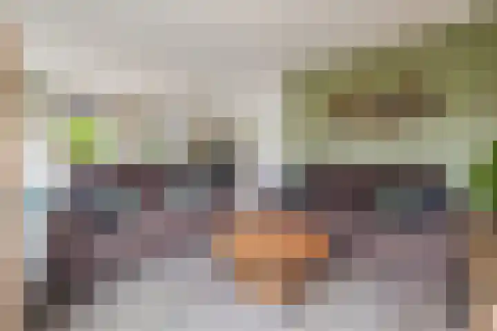 Julianastraat 46 Beerta thumbnail 12