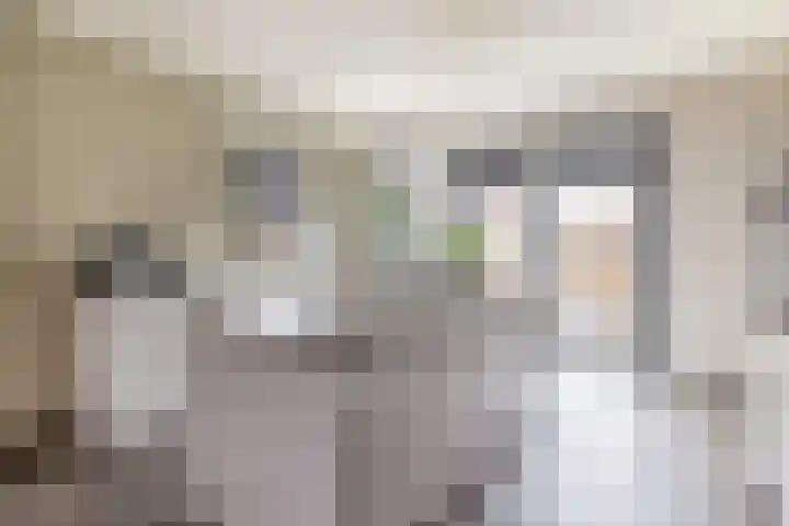 Julianastraat 46 Beerta thumbnail 14