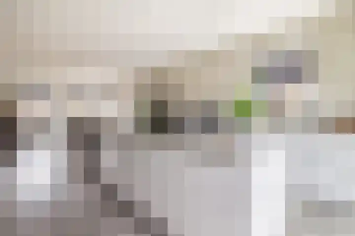 Julianastraat 46 Beerta thumbnail 15