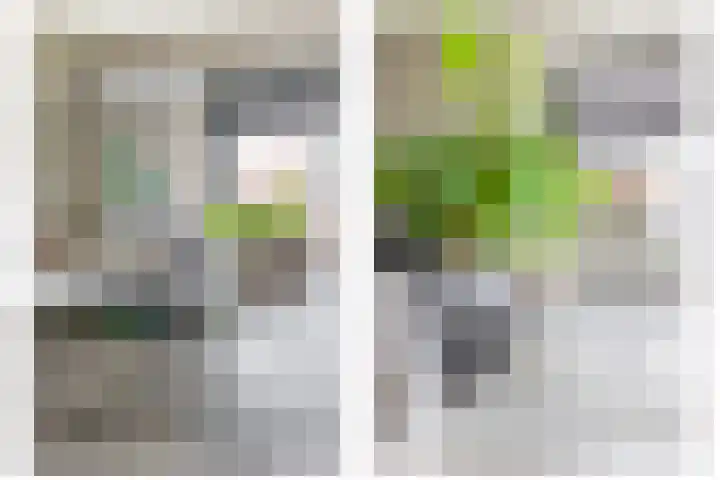 Julianastraat 46 Beerta thumbnail 16