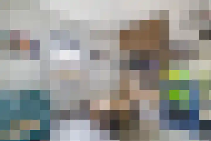 Julianastraat 46 Beerta thumbnail 18