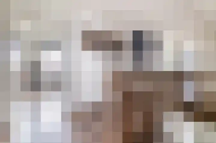 Julianastraat 46 Beerta thumbnail 19