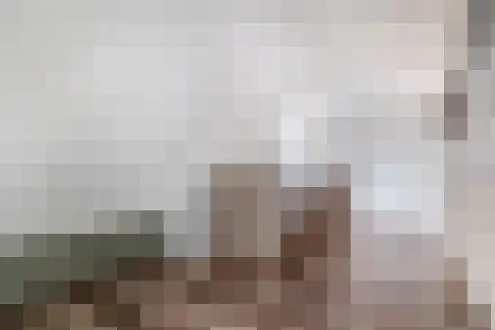 Julianastraat 46 Beerta thumbnail 20
