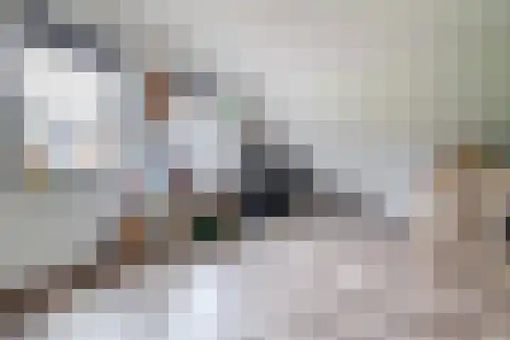 Julianastraat 46 Beerta thumbnail 21