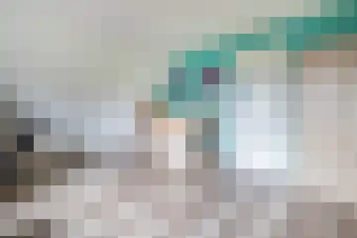 Julianastraat 46 Beerta thumbnail 23