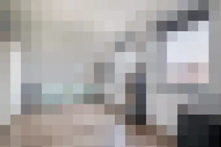 Julianastraat 46 Beerta thumbnail 27