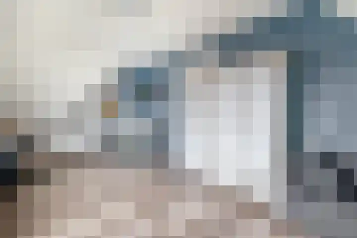 Julianastraat 46 Beerta thumbnail 28