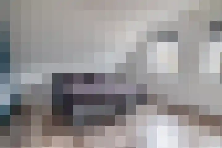 Julianastraat 46 Beerta thumbnail 30
