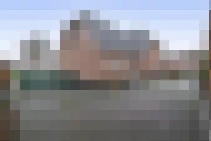 Julianastraat 46 Beerta thumbnail 31