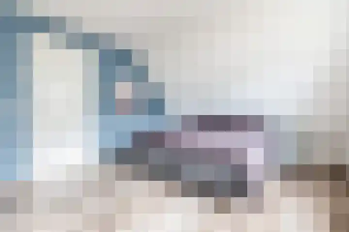 Julianastraat 46 Beerta thumbnail 33
