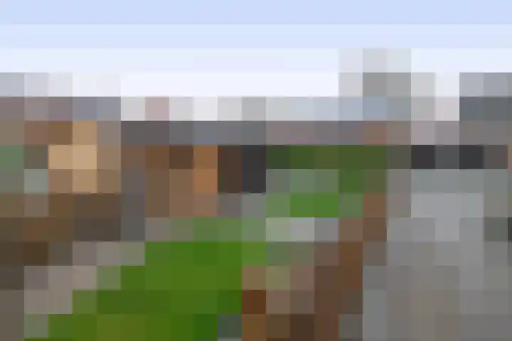 Julianastraat 46 Beerta thumbnail 34