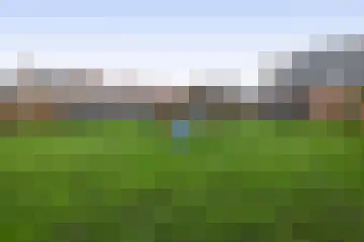Julianastraat 46 Beerta thumbnail 35