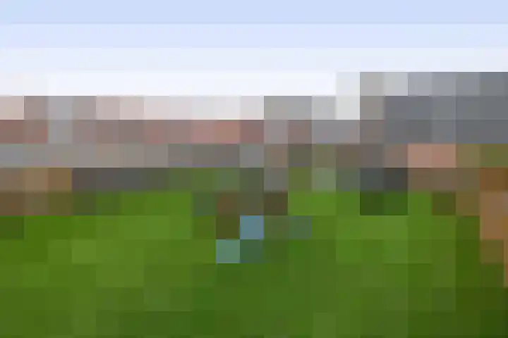 Julianastraat 46 Beerta thumbnail 36