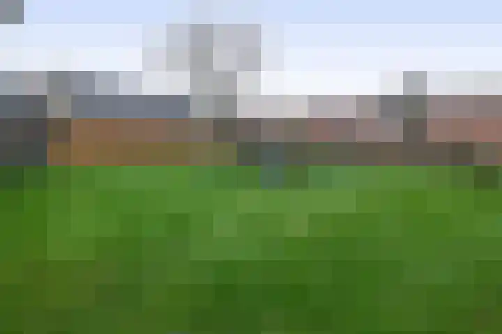Julianastraat 46 Beerta thumbnail 37