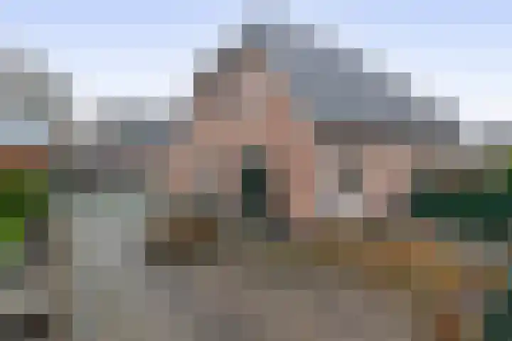 Julianastraat 46 Beerta thumbnail 39