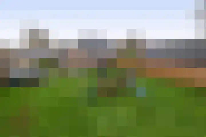 Julianastraat 46 Beerta thumbnail 4