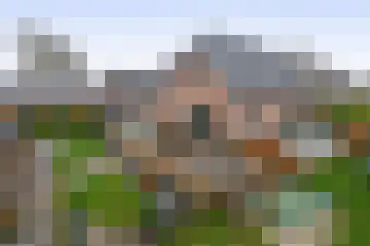 Julianastraat 46 Beerta thumbnail 40