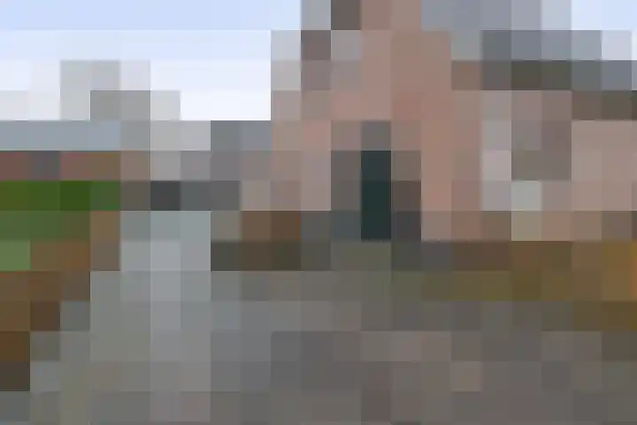 Julianastraat 46 Beerta thumbnail 41