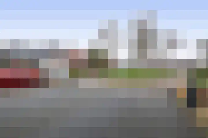 Julianastraat 46 Beerta thumbnail 44