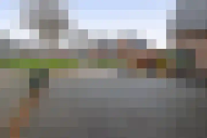 Julianastraat 46 Beerta thumbnail 45