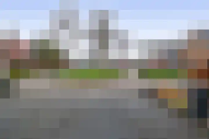 Julianastraat 46 Beerta thumbnail 47