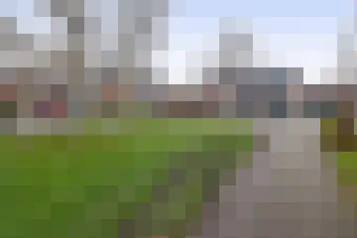 Julianastraat 46 Beerta thumbnail 48