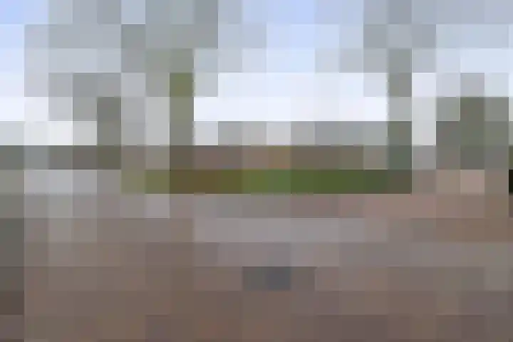 Julianastraat 46 Beerta thumbnail 49