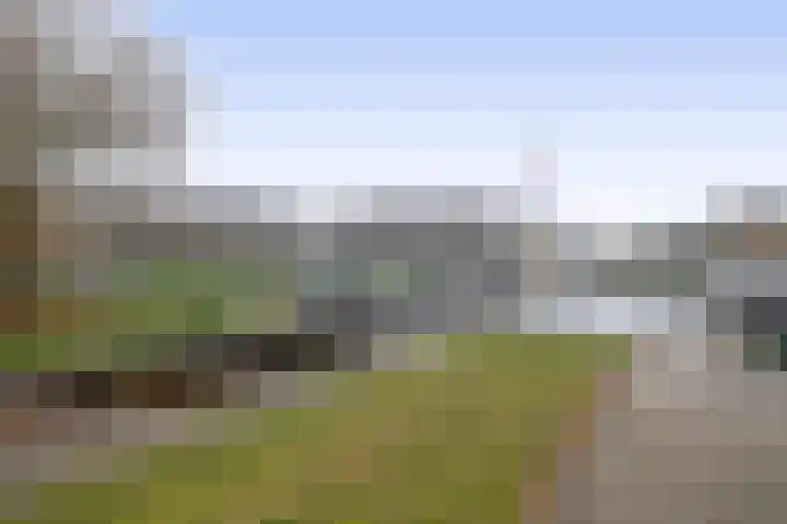Julianastraat 46 Beerta thumbnail 50
