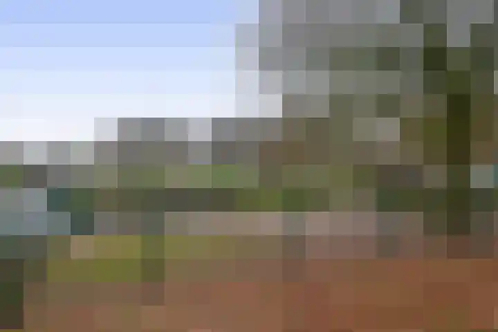 Julianastraat 46 Beerta thumbnail 51