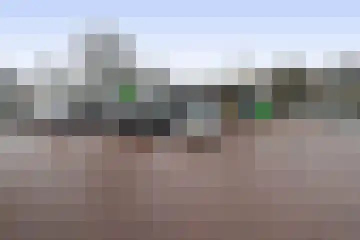 Julianastraat 46 Beerta thumbnail 52