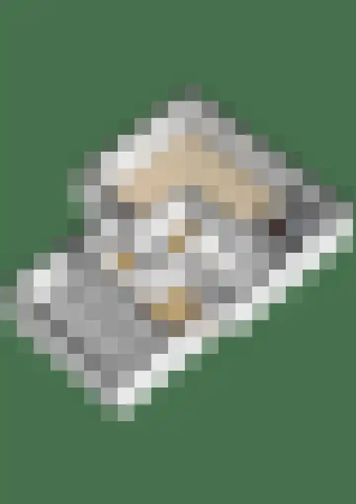 Julianastraat 46 Beerta thumbnail 54