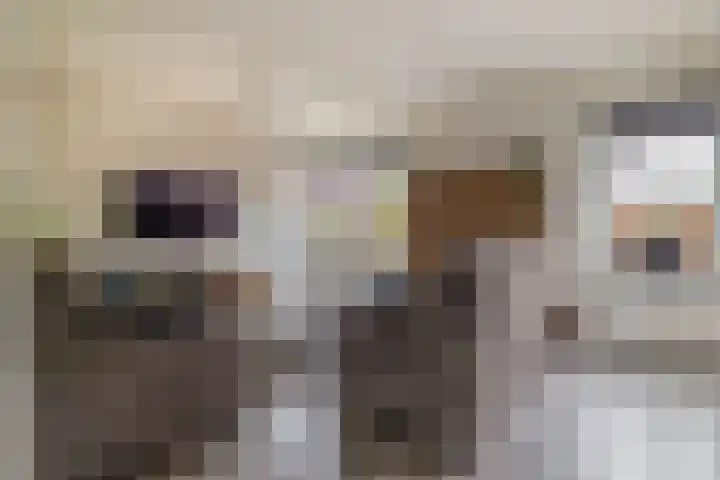 Julianastraat 46 Beerta thumbnail 8