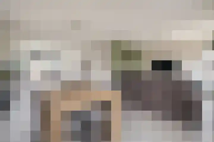 Julianastraat 46 Beerta thumbnail 9