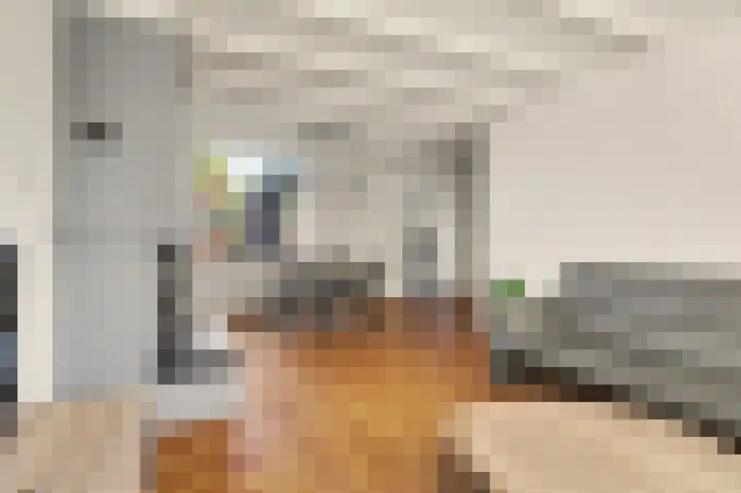 Julianastraat 46 Dongen thumbnail 13